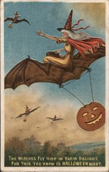 The Witches Fly High In Their Delight, For This You Know is Halloween Night Postcard