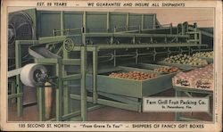 Fern Grill Fruit Packing Company Blotter