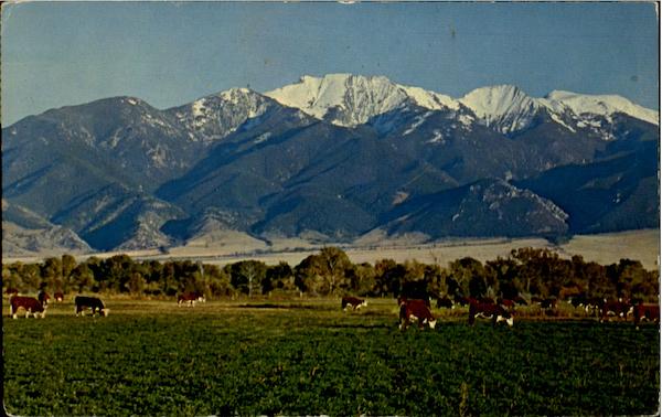Man Mountain Whitehall Montana