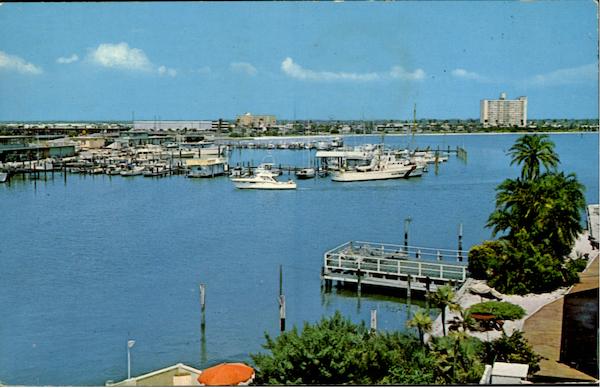 Beautiful Clearwater Marin Florida