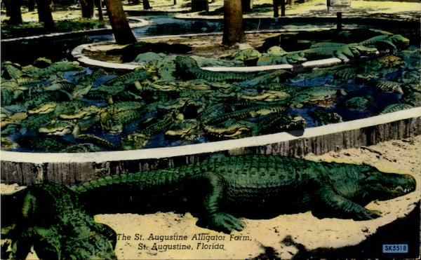 The St. Augustine Alligator Farm Florida