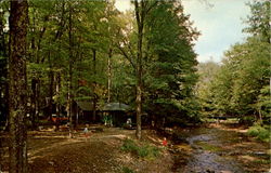 Cabins In The Quaker Run Allegany State Park, NY Postcard Postcard