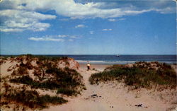 Sand Dunes And Surf Postcard