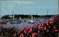 Wychmere Harbor On Cape Cod Postcard