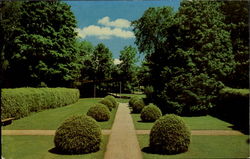 Tanglewood Vista Postcard