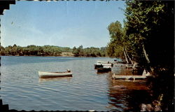 Great Lake From Crystal Spring Camps Postcard