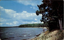 Along The Shore Gould City, MI Postcard Postcard