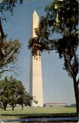 The Washington Monument Postcard