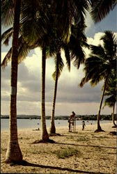 Cabo Roso Postcard