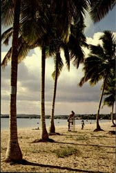 Cabo Roso Puerto Rico, PR Postcard Postcard