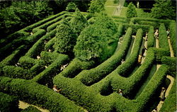 The Governor's Palace Maze Postcard