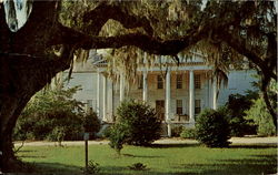 Hampton Plantation Postcard