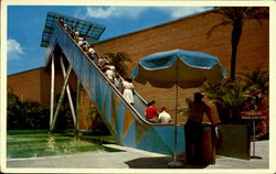 Stairway To The Stars Bush Gardens Tampa, FL Postcard Postcard