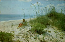 Along The Beautiful Sandy Beaches Of Florida Postcard