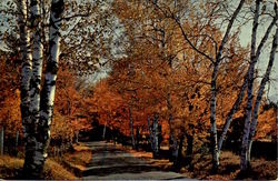 Greetings From Petoskey Postcard