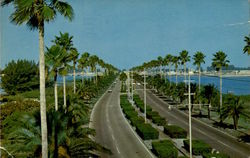 Memorial Causeway Postcard