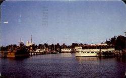 Yacht Harbor Fort Lauderdale, FL Postcard Postcard