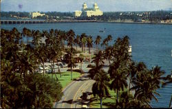 Scenic Flagler Drive West Palm Beach, FL Postcard Postcard