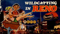 Wildcatting In Reno Nevada Postcard Postcard