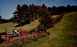 The Famous Mt. Cranmore Skimobile Postcard