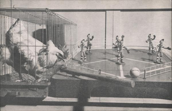 Casey at Bat - Baseball Playing Chicken - Children's Zoo Fort Worth Texas