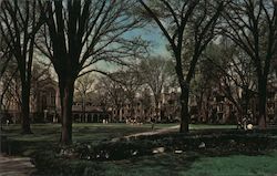 Cook Law Quadrangle The University of Michigan Postcard