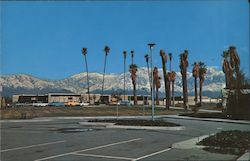View of Town with Palms and Snow Capped Mountain Range Postcard