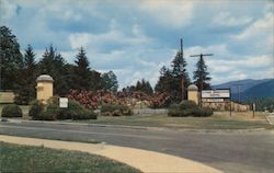 Entrance to the Veterans Administrative Hospital, showing hedge of beautiful roses Postcard