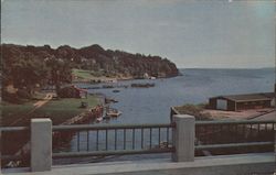 View of the Harbor from the Bridge Postcard