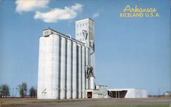 Arkansas Riceland U.S.A. Postcard