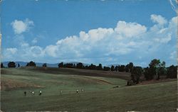 Perfect Day on the Golf Course Postcard