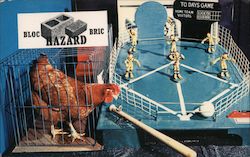 Baseball Playing Chicken - San Diego County Fair Postcard