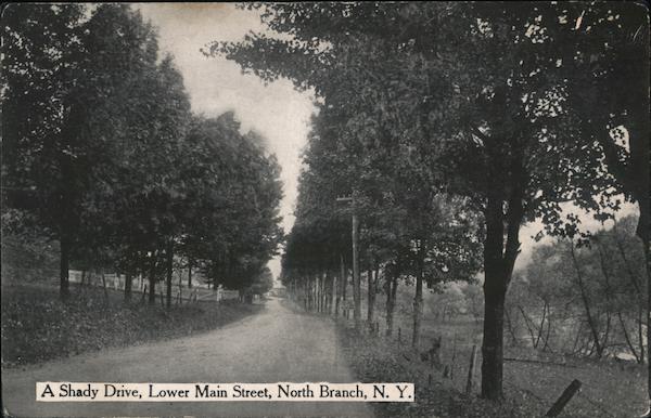 Shady Drive on Lower Main Street North Branch New York