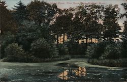 Island Pond, Pine Bank Park Postcard