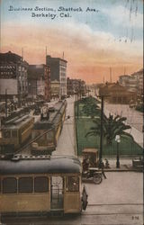 Business Section, Shattuck Avenue Postcard