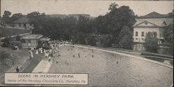 Scene in Hershey Park, Home of the Hershey Chocolate Co. Postcard