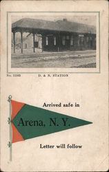 Delaware and Northern Station - Arrived Safe in Arena New York Postcard Postcard Postcard
