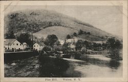 Pine Hill Postcard