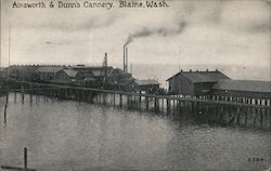 Ainsworth & Dunn's Cannery Blaine, WA Postcard Postcard Postcard