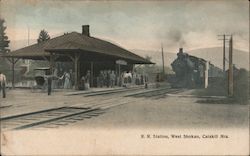 Ulster and Delaware Railroad Station, Catskill Mountains Postcard