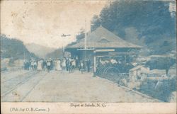 Depot at Saluda Postcard