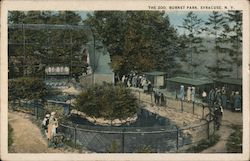 The Zoo, Burnet Park Postcard