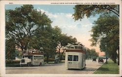 Double Deck Motor Busses on Lincoln Park Drive Postcard
