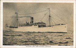 Steamer Contessa - Vaccaro Line Postcard
