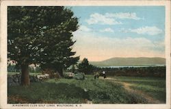 Kingswood Club Golf Links Wolfeboro, NH Postcard Postcard Postcard