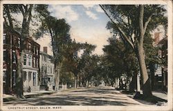Chestnut Street Postcard