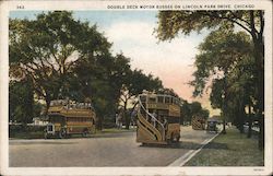 Double Deck Motor Busses on Lincoln Park Drive Postcard
