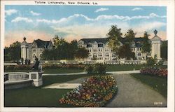 Tulane University Postcard