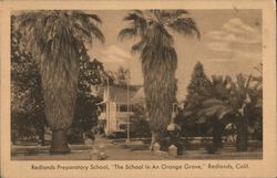 Redlands Preparatory School, "The School in an Orange Grove" Postcard