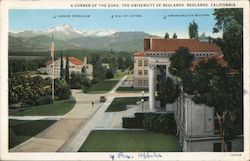 View of the Quadrangle, University of Redlands Postcard